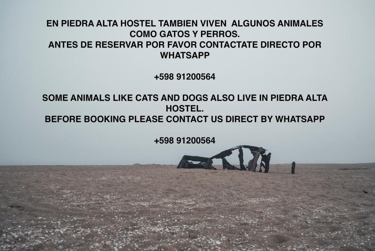 Piedra Alta Hostel & Suites La Pedrera Extérieur photo